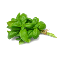 Fresh Basil (Bunch)