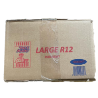 R12 Flame Sos Bag (X250)