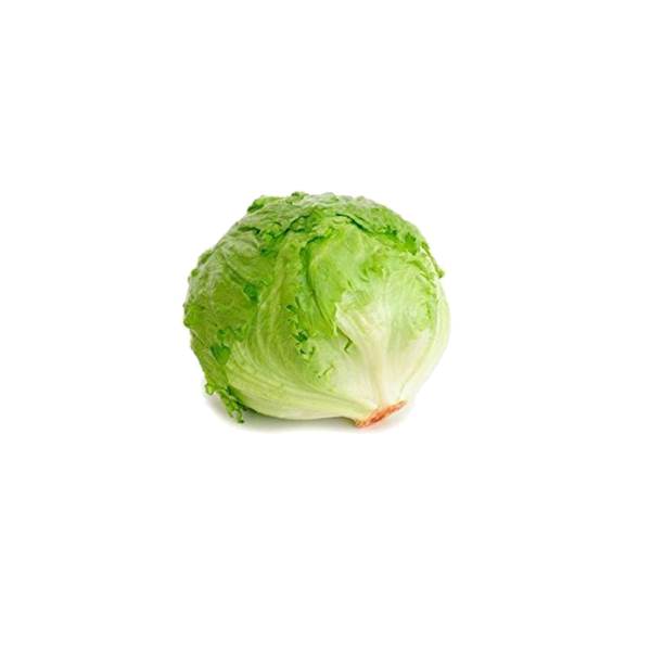 Iceberg Lettuce Case Saka Ltd