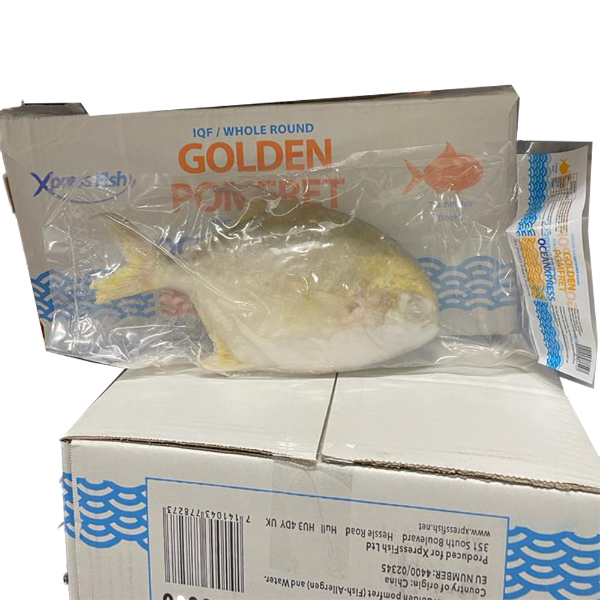 Fish Golden Pomfret 4/600 8kg Case