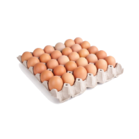 EGGTRAY