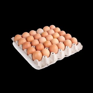 EGGTRAY