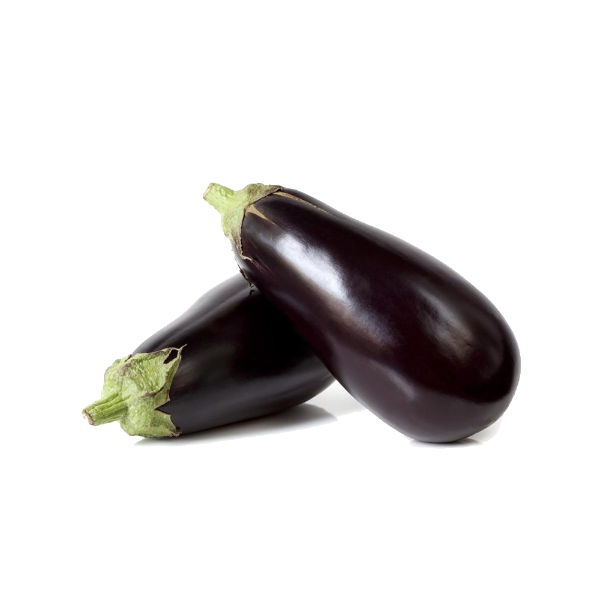 Fresh Aubergines Per Case