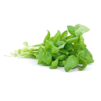 BASIL