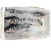 Fish Sea Bass Case