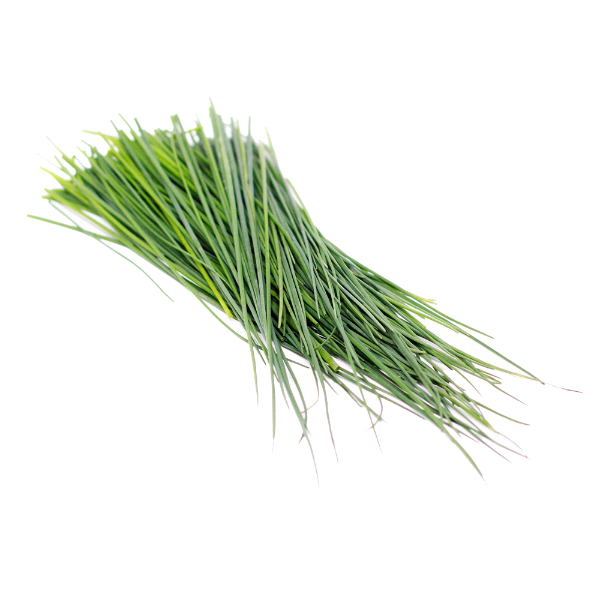 CHIVE